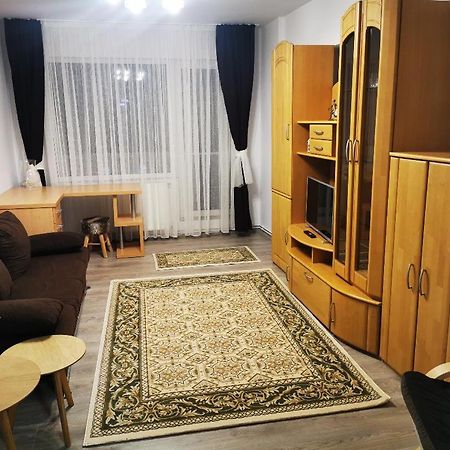 Violet Residence Târgu-Mureş エクステリア 写真