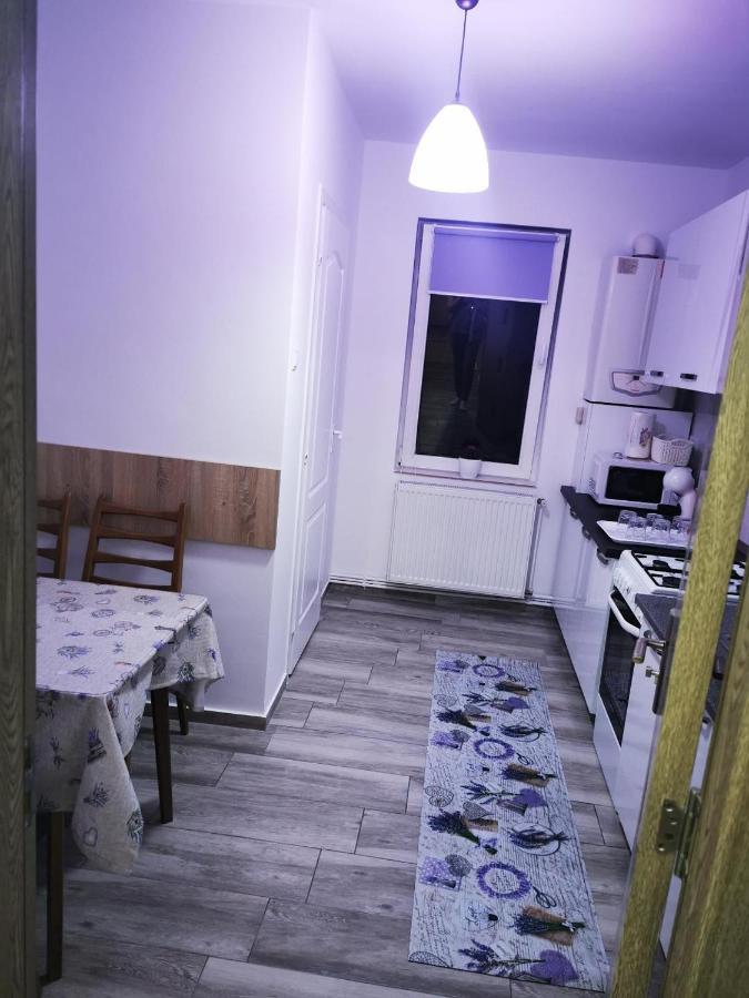 Violet Residence Târgu-Mureş エクステリア 写真