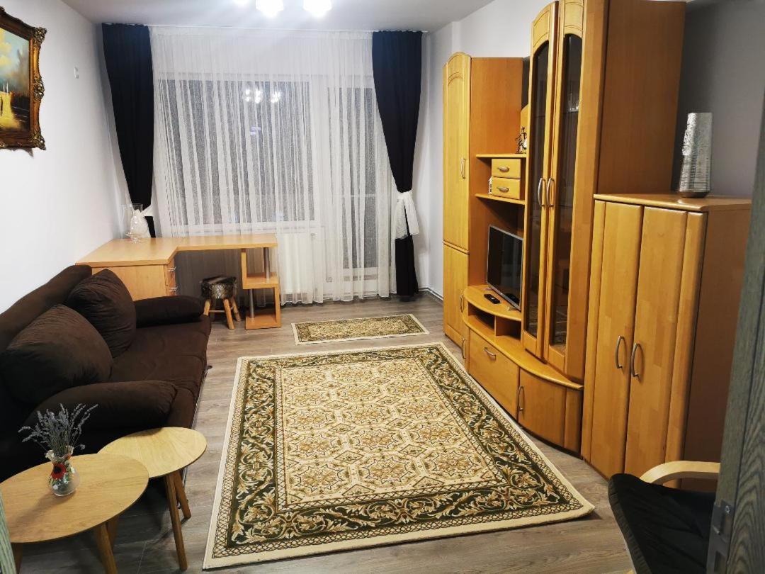 Violet Residence Târgu-Mureş エクステリア 写真